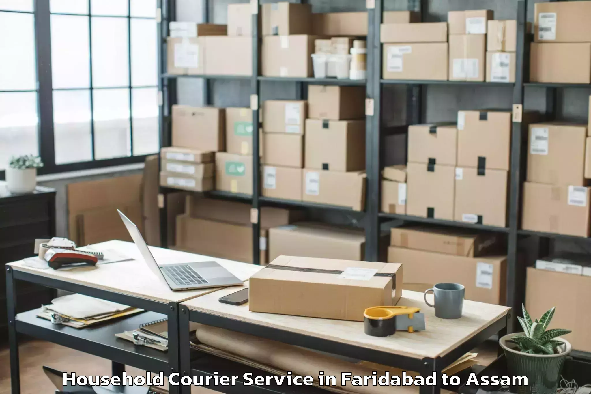 Professional Faridabad to Lumding Railway Colony Household Courier